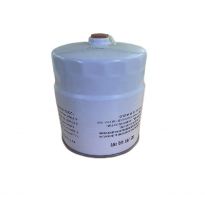 Numéro OE 1117030-EE54R Filtre à carburant CLX-593 pour 700P Pays 6 FTR Pays 6 en blanc